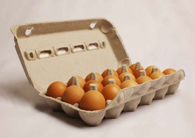 18 Eggs in egg tray