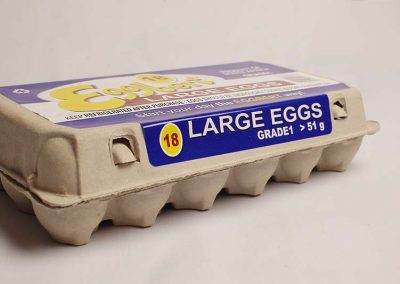 carton of Eggbert Eggs large eggs