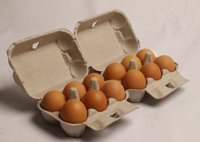 Eggs in eggbox