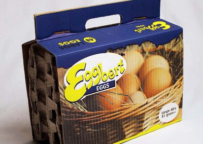 Eggbert eggs carton