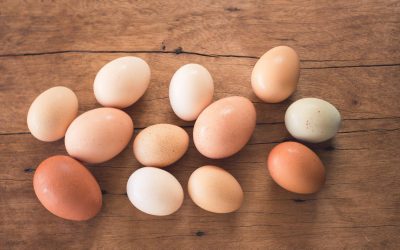 Exploring the World of Different Types of Chicken Eggs