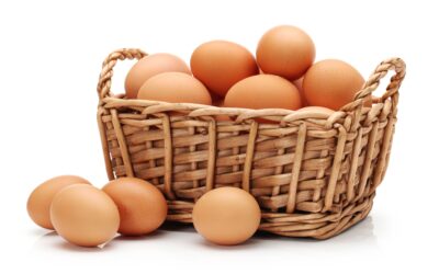 The Wisdom Behind “Don’t Put All Your Eggs in One Basket”