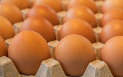 Ways to Prevent an Egg from Breaking
